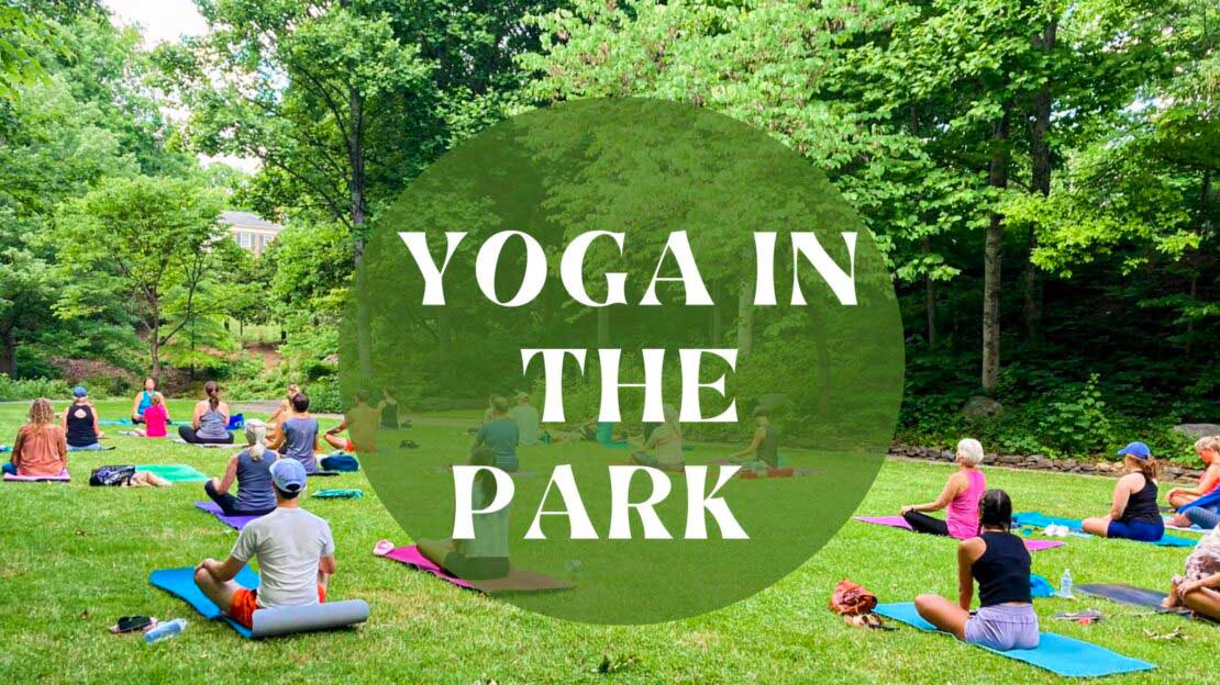 Neighbors practicing yoga outdoors in a park setting